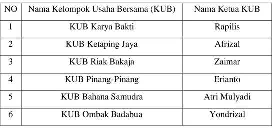 Tabel 1. Jumlah KUB di Jorong Pasia Tiku Kabupaten Agam  NO  Nama Kelompok Usaha Bersama (KUB)  Nama Ketua KUB 