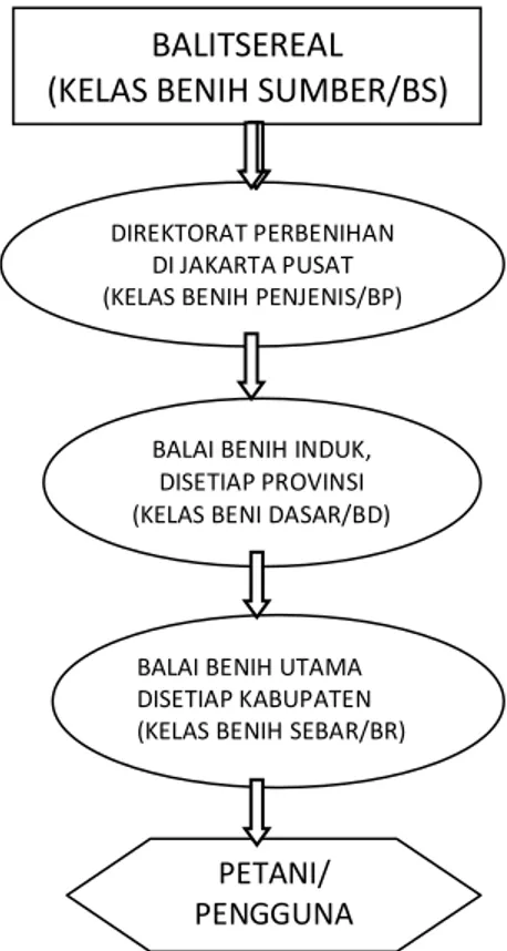 Gambar 1. Sistem Distribusi Benih di Indonesia, 2006                                    BALITSEREAL 