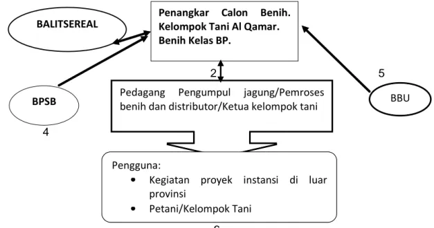 Gambar 4. Sistem kelembagaan pada penangkar benih berbasis komunal         hasil binaan Balitsereal di Sulawesi Selatan, 2004  