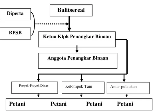 Gambar 1. Mekanisme pembinaan penangkaran benih komposit di Provinsi                     Sulawesi Selatan, 2005