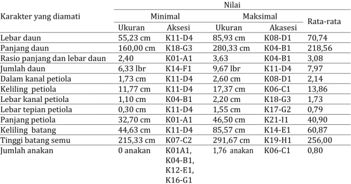 Tabel 2. Nilai minimal, maksimal dan  rata-rata karakter kuntitatif pisang kepok  Karakter yang diamati 
