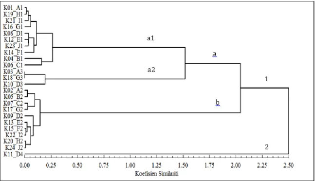Gambar 3. Dendogram aksesi pisang kapok berdasarkan gabungan data kualitatif dan  kuantitatif   Analisis    Hubungan  Kekerabatan  Pisang 