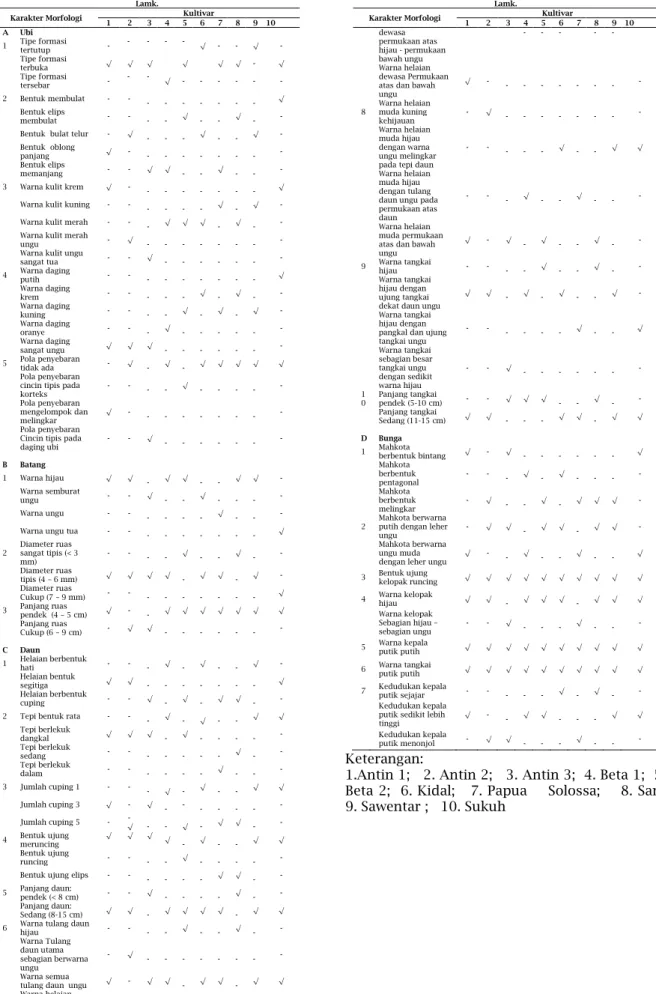 Tabel 1: Hasil pengamatan morfologi sepuluh kultivar Ipomoea batatas  Lamk. 