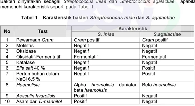 Tabel 1    Karakteristik bakteri Streptococcus iniae dan S. agalactiae    Karakteristik 