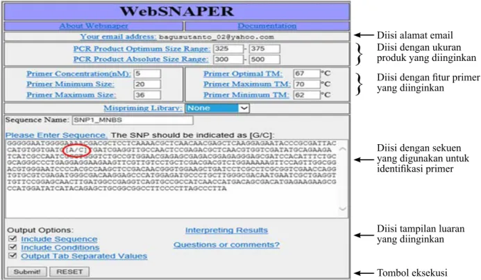 Gambar 1.  Tampilan perangkat lunak WebSNAPER yang digunakan untuk mendisain primer SNAP