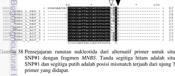 Gambar 38 Pensejajaran  runutan  nukleotida  dari  alternatif  primer  untuk  situs  SNP#1  dengan  fragmen  MNBS