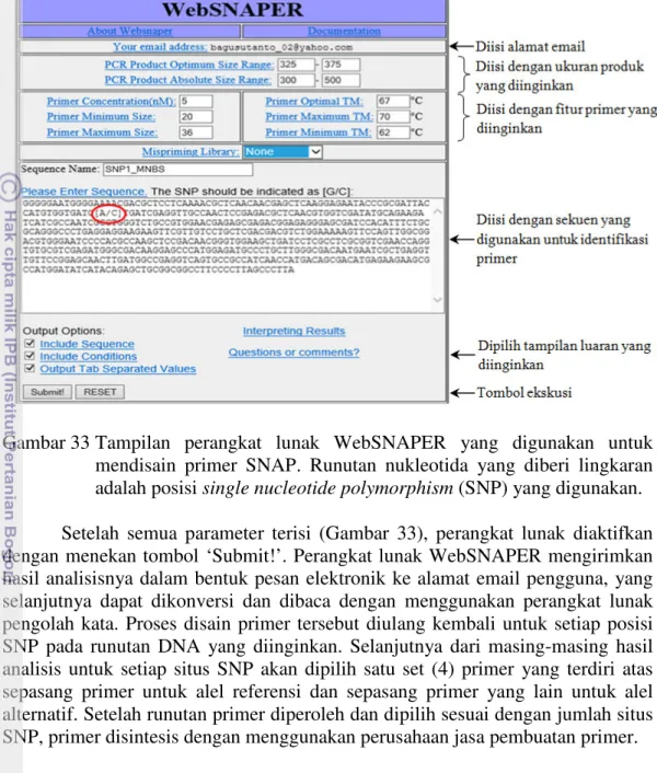 Gambar 33 Tampilan  perangkat  lunak  WebSNAPER  yang  digunakan  untuk  mendisain  primer  SNAP