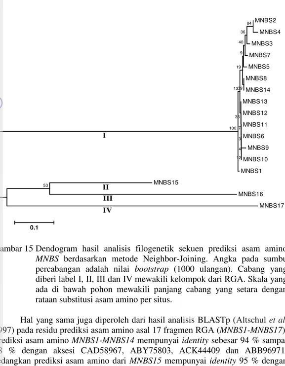 Gambar 15 Dendogram  hasil  analisis  filogenetik  sekuen  prediksi  asam  amino  MNBS  berdasarkan  metode  Neighbor-Joining