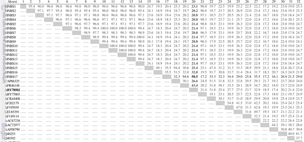 Tabel 7  Matrik genetic identity  (%) hasil dari analisis pensejajaran sekuen prediksi asam amino  Aksesi  1  2  3  4  5  6  7  8  9  MNBS1     95.4  96.0  96.0  96.0  96.6  94.8  96.0  96.0  MNBS2  .....