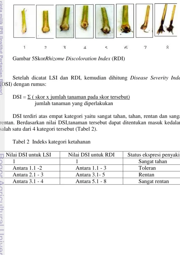 Tabel 2  Indeks kategori ketahanan 