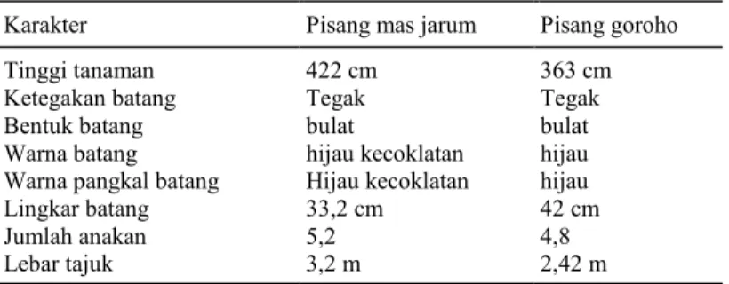 Tabel 2. Karakter tanaman pisang mas jarum dan pisang goroho. 