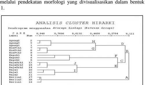 Gambar 1. Dendrogram hubungan kekerabatan antara 5 varietas pisang (Musa paradisiaca L.)  beserta outgroup yang diteliti berdasarkan analisis karakteristik morfologi