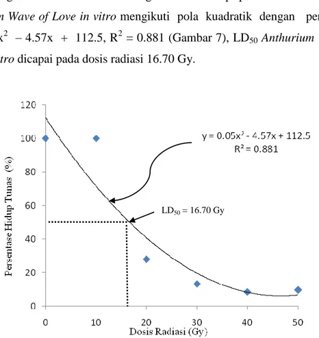 Gambar 7.   Pengaruh Dosis Radiasi Sinar Gamma dari   60 Co terhadap  Persentase    Hidup  Tunas  Anthurium  Wave  of  Love  In  Vitro pada 16 MSR 