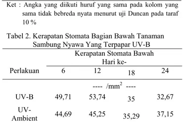 Tabel 2. Kerapatan Stomata Bagian Bawah Tanaman  Sambung Nyawa Yang Terpapar UV-B 