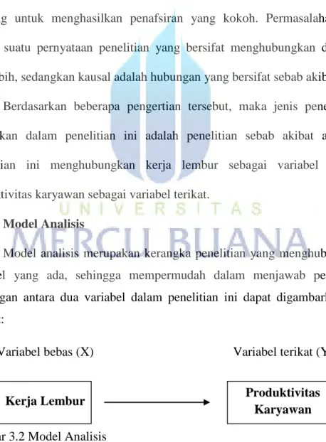 Gambar 3.2 Model Analisis 