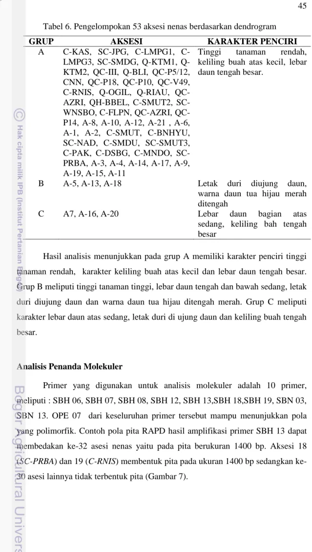 Tabel 6. Pengelompokan 53 aksesi nenas berdasarkan dendrogram 