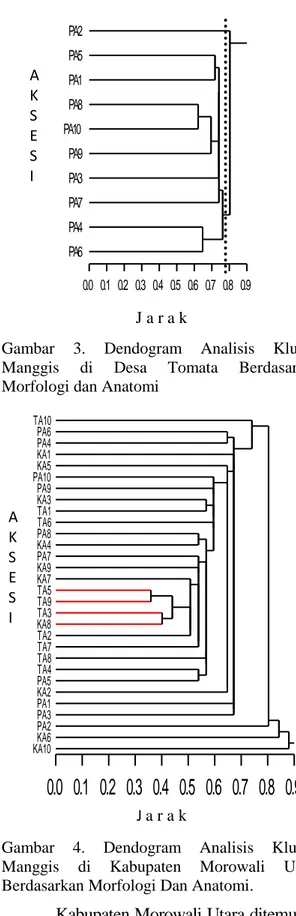 Gambar  2.  Dendogram  Analisis  Kluster  Manggis  di  Desa  Taliwan  Berdasarkan  Morfologi dan Anatomi