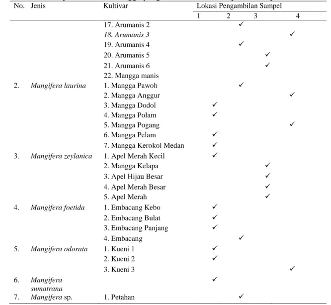 Tabel 2. Jenis–jenis kultivar mangga yang ditemukan di Kabupaten Kampar
