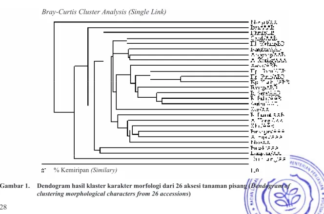 Gambar 1.  Dendogram hasil klaster karakter morfologi dari 26 aksesi tanaman pisang (Dendogram of  clustering morphological characters from 26 accessions)