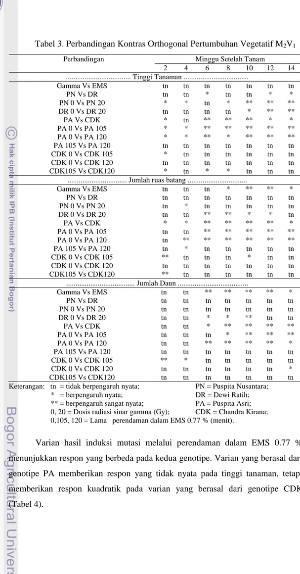 Tabel 3. Perbandingan Kontras Orthogonal Pertumbuhan Vegetatif M 2 V 1