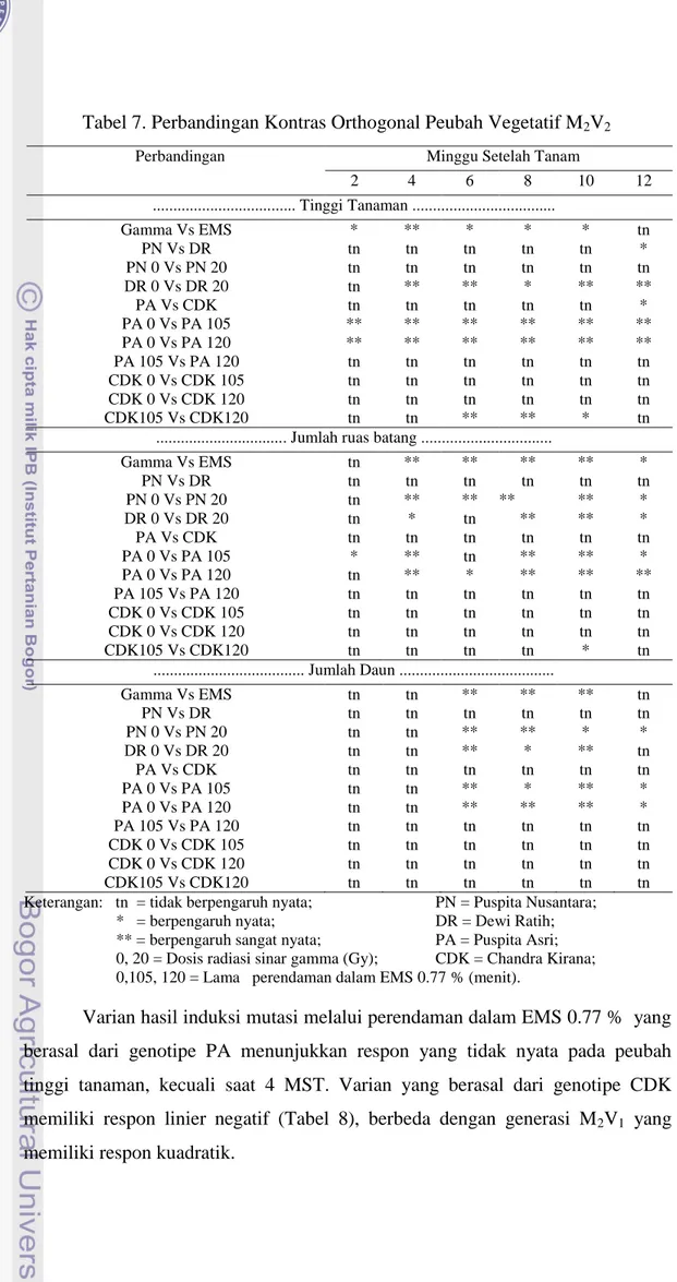Tabel 7. Perbandingan Kontras Orthogonal Peubah Vegetatif M 2 V 2 