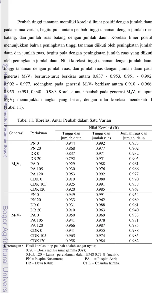 Tabel 11. Korelasi Antar Peubah dalam Satu Varian   Generasi  Perlakuan  Nilai Korelasi (R) Tinggi dan  jumlah daun  Tinggi dan  jumlah ruas 