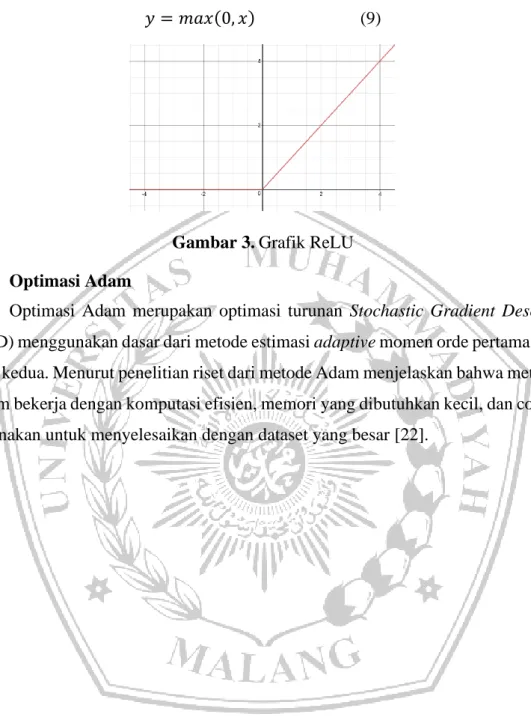 Gambar 3. Grafik ReLU  2.8  Optimasi Adam 