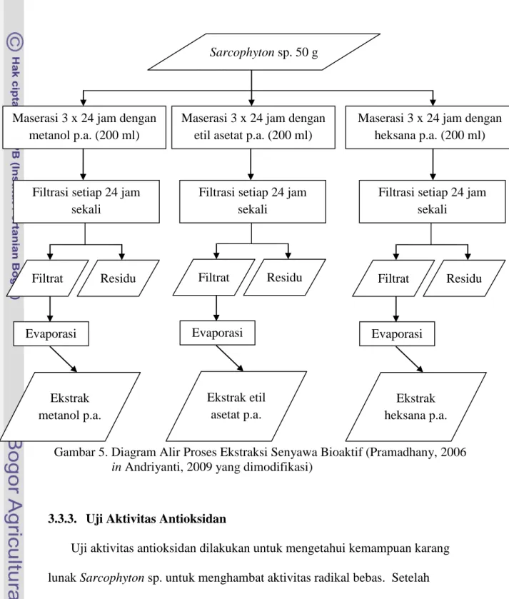 Gambar 5. Diagram Alir Proses Ekstraksi Senyawa Bioaktif (Pramadhany, 2006          in Andriyanti, 2009 yang dimodifikasi) 