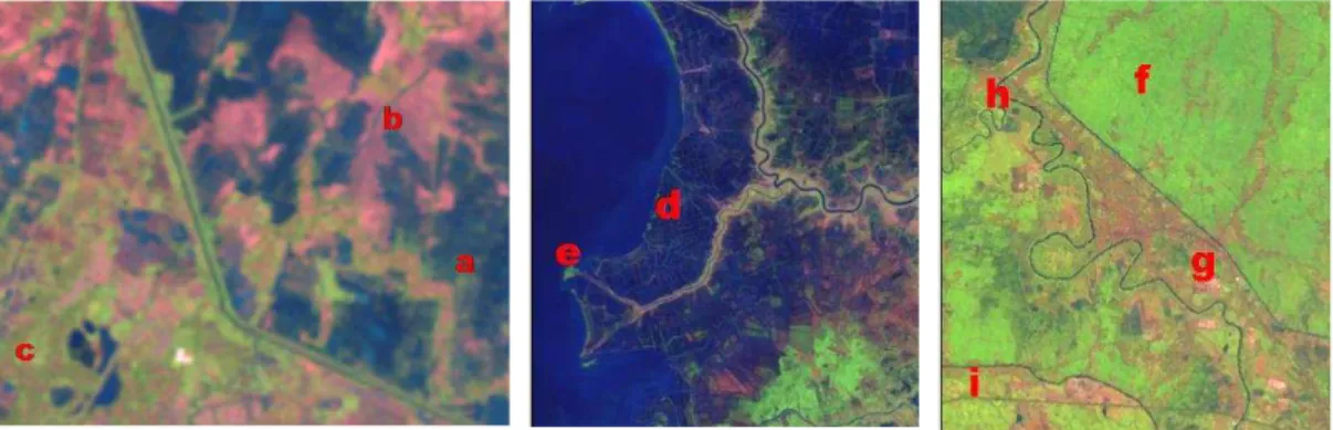 Gambar 4. Penampakan Objek Pada Citra Landsat (a) TPLB fase air, (b) TPLB  fase bera, (c) TPLK, (d) Tambak, (e) Mangrove, (f) TPLB fase vegetatif, (g) 