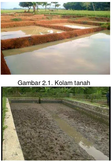 Gambar 2.1. Kolam tanah 