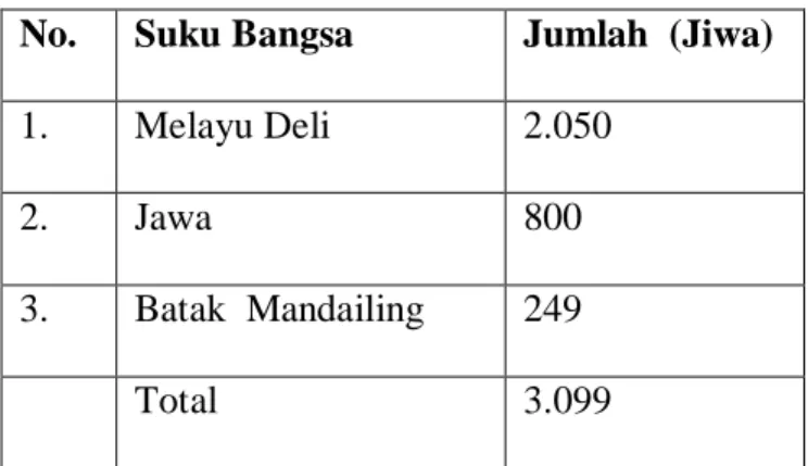 Tabel di atas dapat dilihat, bahwa suku bangsa yang memiliki jumlah paling  banyak yakni suku Melayu Deli sekitar 2.050 orang, sementara suku Jawa sekitar 800  orang dan suku Mandailing dengan urutan yang paling kecil yakni 249 orang