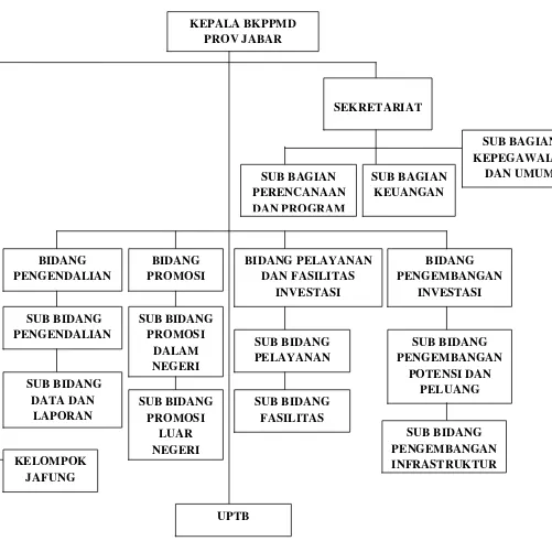 Gambar 3.1 Struktur Organisasi Badan Koordinasi Promosi dan Penanaman  