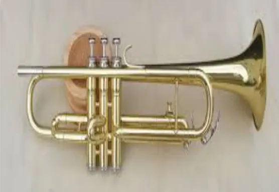 Gambar 7. Saxophone 