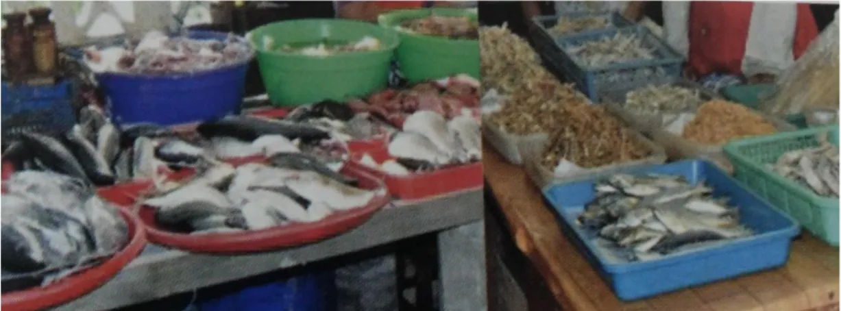 Gambar 3.2. Berbagai jenis ikan segar dan produk olahannya   yang diduga mengandung formalin 2
