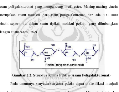 Gambar 2.2. Struktur Kimia Pektin (Asam Poligalakturonat) 
