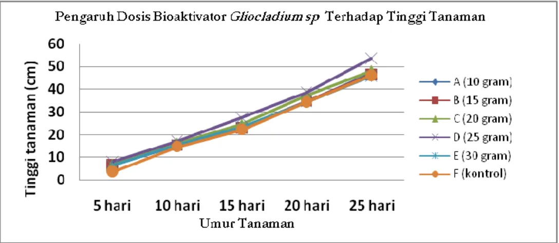 Gambar 1. Grafik Pengaruh Dosis Bioaktivator Gliocladium sp terhadap Tinggi Tanaman Kedelai 