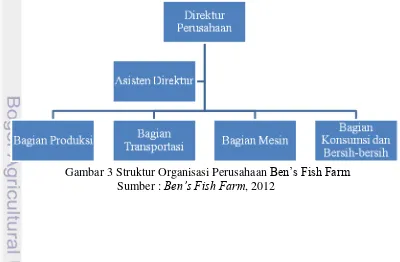 Gambar 3 Struktur Organisasi Perusahaan Ben’s Fish Farm 
