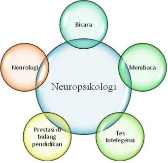 Gambar  3. Asesmen  Neuropsikologi  dan Bidang-bidang  yang  Berkaitan  (Nelson  dan Adams,  1997:  338)