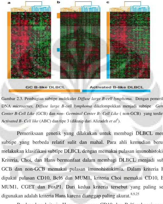Gambar 2.3. Pembagian subtipe molekuler Diffuse large B-cell lymphoma.  Dengan pemeriksaan  DNA  microarray,  Diffuse  large  B-cell  lymphoma  dikelompokkan  menjadi  subtipe    Germinal  Center B-Cell Like (GCB) dan non- Germinal Center B- Cell Like ( no