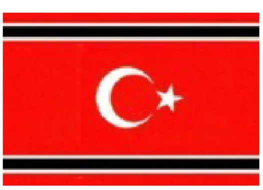 Gambar 4.6. Bendera Partai GAM