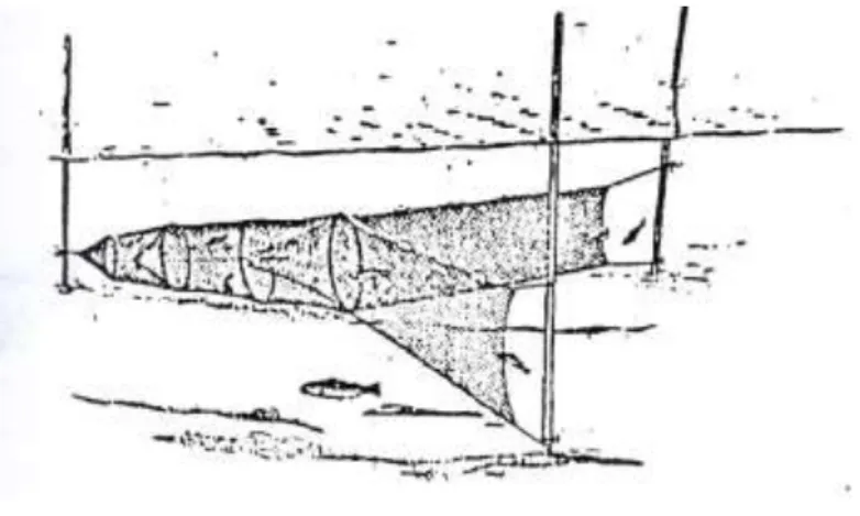 Gambar 10.  Sketsa bubu jaring (fyke net) 