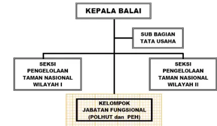 Gambar 4. Struktur Organisasi Balai TN Karimunjawa 