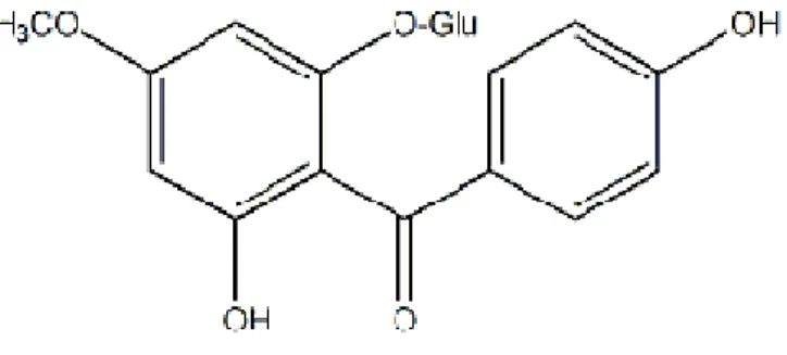 Gambar 1.3   Struktur kimia 2,4’,6-trihidroksi-4-metoksi benzofenon-2-O-glukosida 