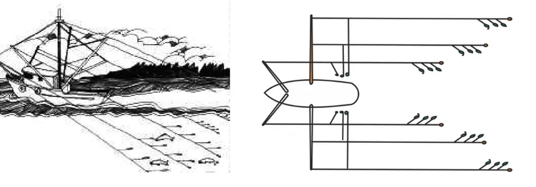 Gambar 7  Illustrasi kapal tonda sedang beroperasi (kiri) dan penataan pancingnya  (kanan) 