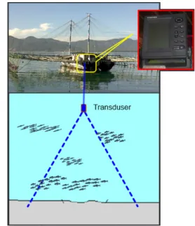 Gambar 1.   Ilustrasi metode pengoperasian hidroakustik  pada bagan perahu