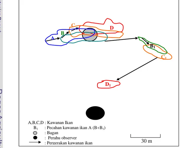 Gambar 20  Contoh observasi pola pergerakan kawanan ikan setelah lampu luar  bagan dipadamkan A B  D 1C  B 1 C 1