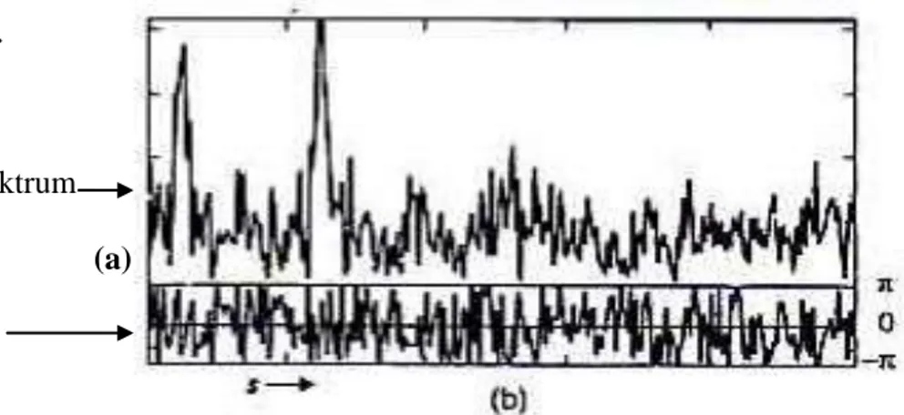 Gambar 5.  Amplitudo dan Fase Spektrum (Castleman, 1996). 