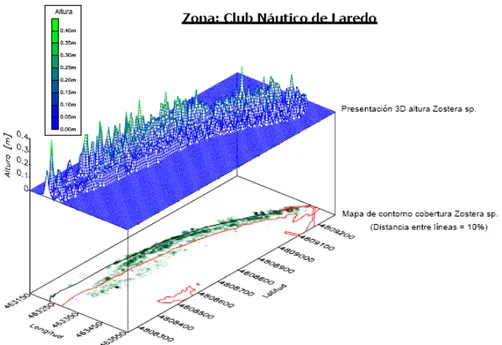 Gambar 4   Contoh tampilan data hasil olahan EcoSAV (survei di Santoña). SAV  tinggi (atas, dalam meter) dan persen tutupan (bawah), dimana dapat  dikombinasikan dengan peta batimetri (Schneider et al