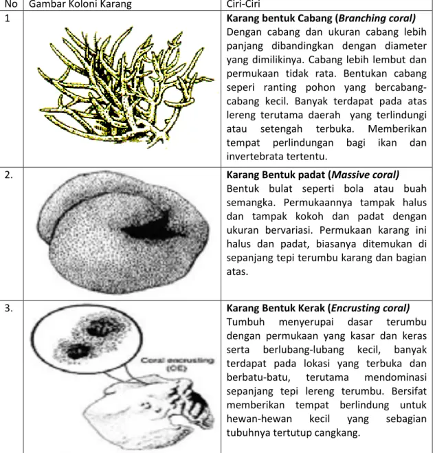 Tabel 1.1 Tipe koloni karang berdasarkan bentuk pertumbuhannya   No  Gambar Koloni Karang  Ciri-Ciri 