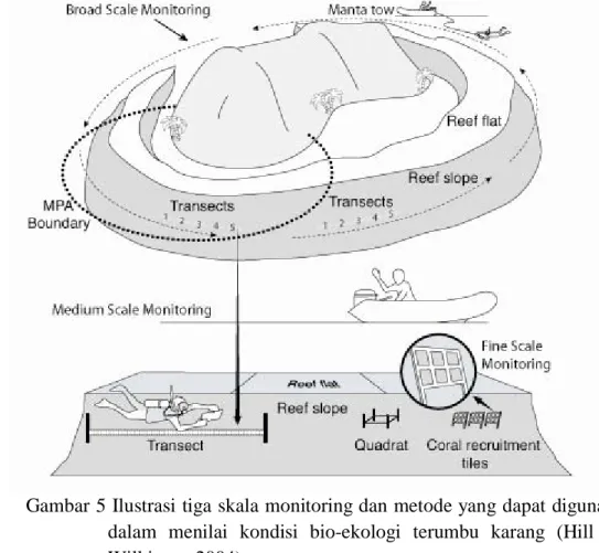 Gambar 5 Ilustrasi tiga skala monitoring dan metode yang dapat digunakan  dalam menilai kondisi bio-ekologi terumbu karang (Hill dan  Wilkinson 2004)